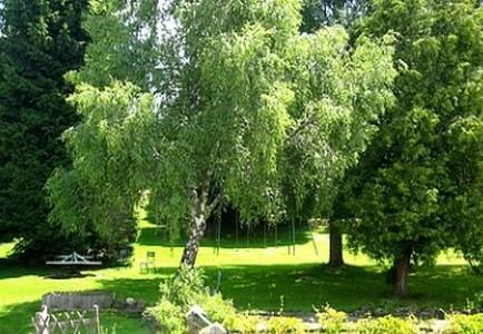 Hotel La Clairiere Chambon-sur-Dolore Zewnętrze zdjęcie